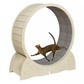 Cat Wheel