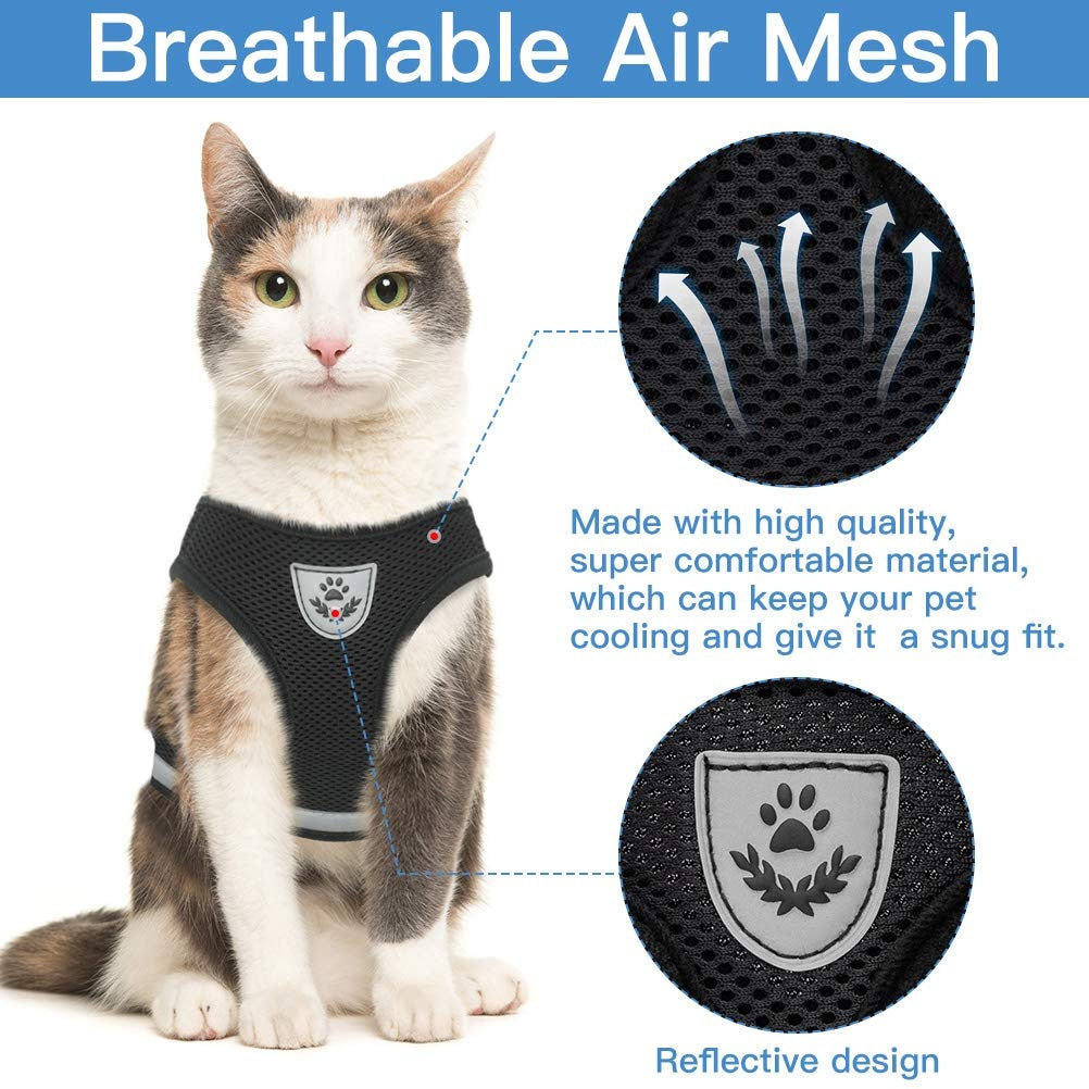 Simply 2025 cat harness