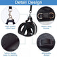 Cat Harness