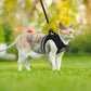 Cat Harness