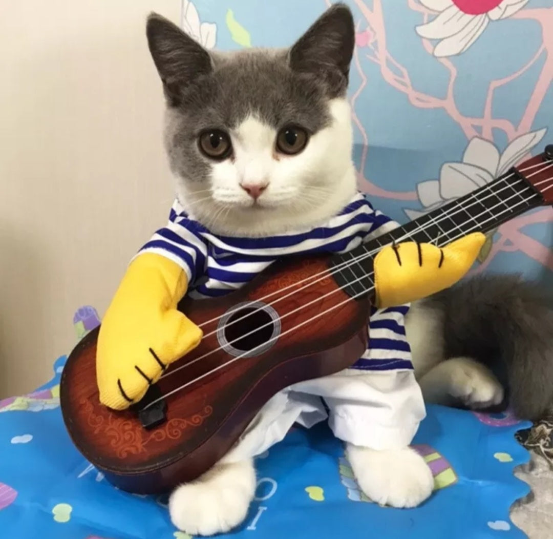 Cat playing 2025 guitar costume