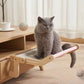 Cat Candy Cat Perch